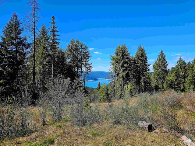 1337 Tie Creek Dr, Orofino, ID 83544