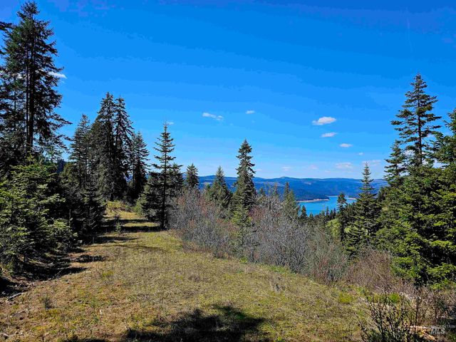 1337 Tie Creek Dr, Orofino, ID 83544