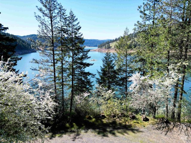 1337 Tie Creek Dr, Orofino, ID 83544