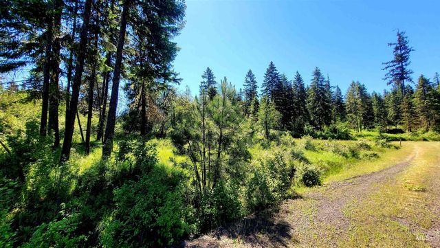 1337 Tie Creek Dr, Orofino, ID 83544