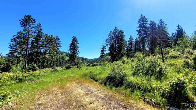 1337 Tie Creek Dr, Orofino, ID 83544