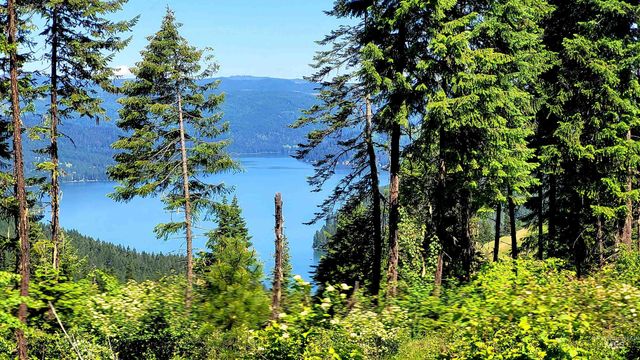 1337 Tie Creek Dr, Orofino, ID 83544