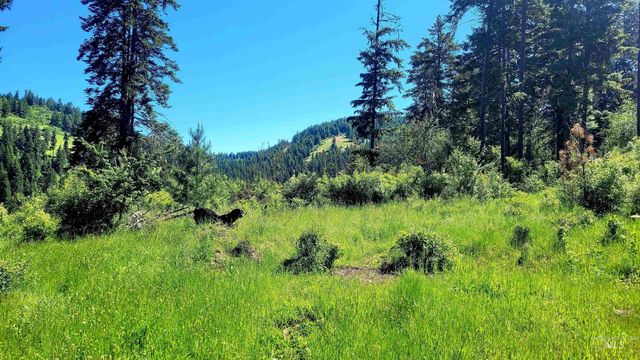 1337 Tie Creek Dr, Orofino, ID 83544