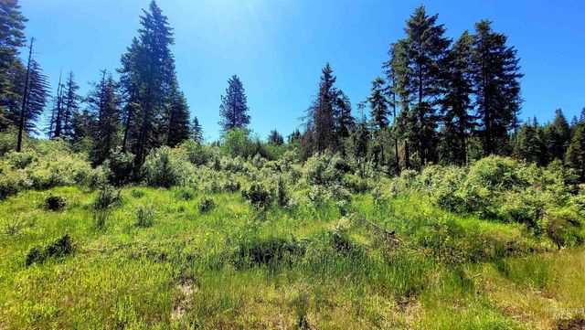 1337 Tie Creek Dr, Orofino, ID 83544