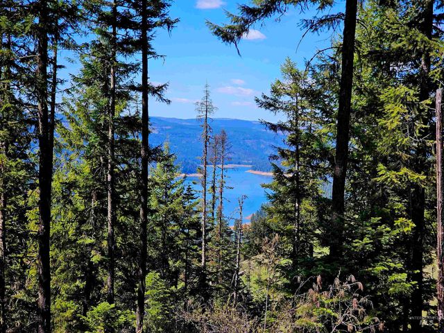 1337 Tie Creek Dr, Orofino, ID 83544