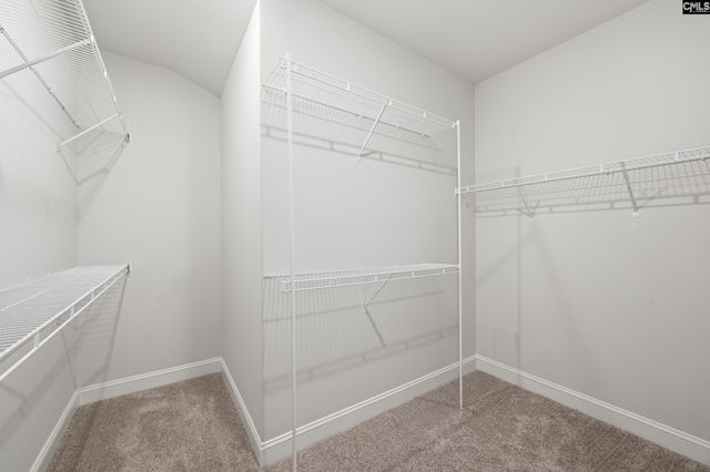 525 Carters Grove Lane, Blythewood, SC 29016