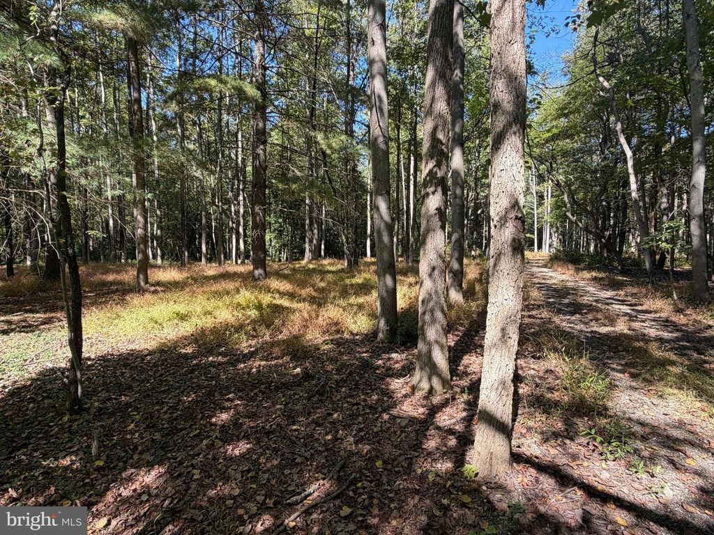 51 LAUREL AVE, Pittsgrove, NJ 08318
