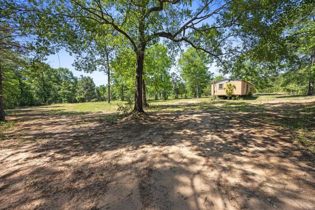 4804 Crockett Martin Road, Conroe, TX 77306