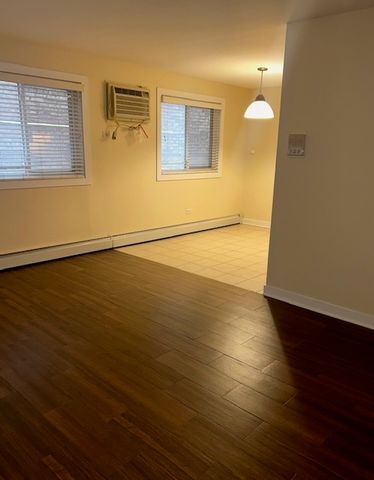 317 Wisconsin Avenue 1C, Oak Park, IL 60302