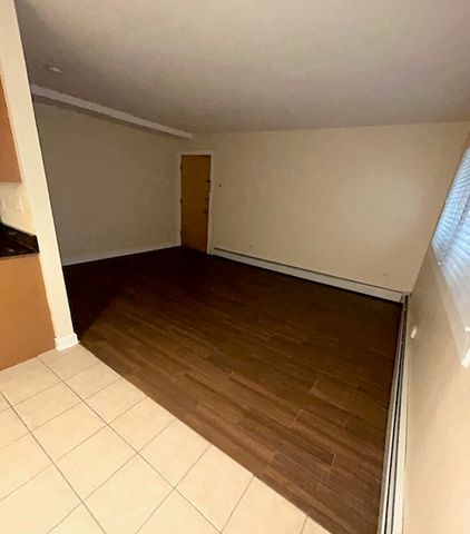 317 Wisconsin Avenue 1C, Oak Park, IL 60302