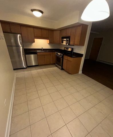 317 Wisconsin Avenue 1C, Oak Park, IL 60302