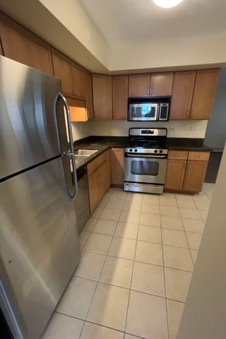 317 Wisconsin Avenue 1C, Oak Park, IL 60302