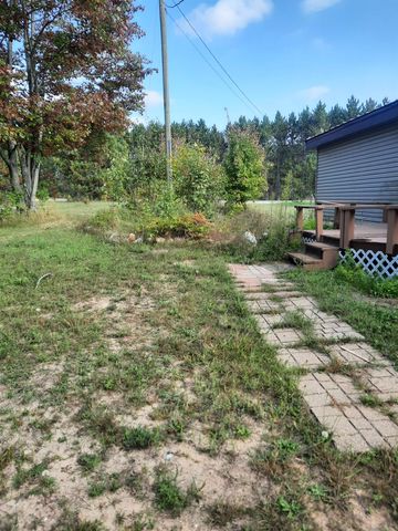 1124 Eddy School Road, Bellaire, MI 49615