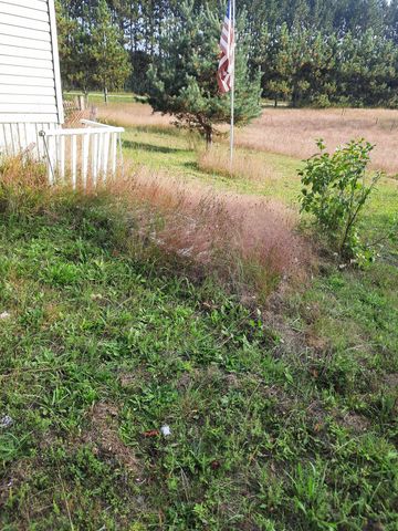 1124 Eddy School Road, Bellaire, MI 49615