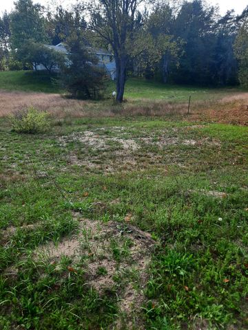 1124 Eddy School Road, Bellaire, MI 49615