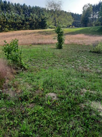 1124 Eddy School Road, Bellaire, MI 49615