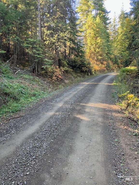 TBD Glacier Drive, St. Maries, ID 83861 photo 3