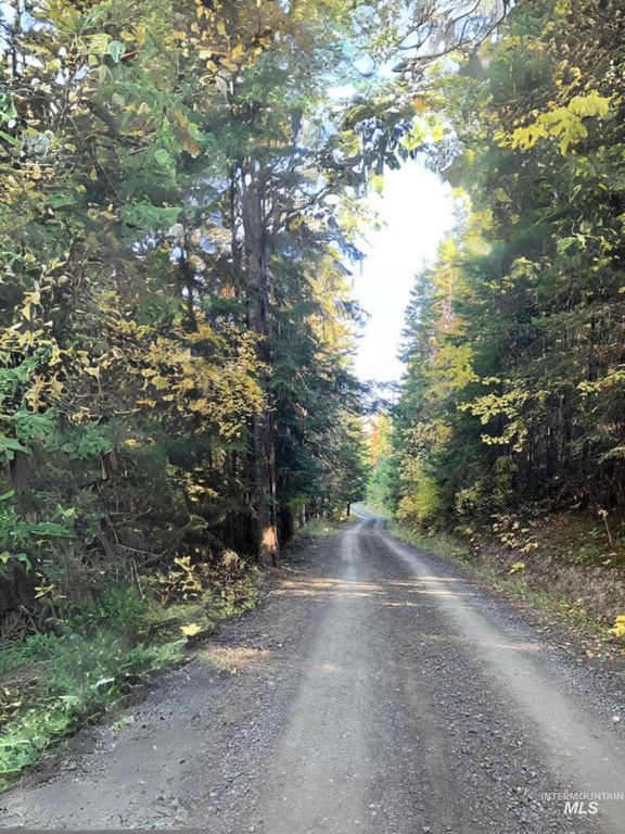 TBD Glacier Drive, St. Maries, ID 83861 photo 4