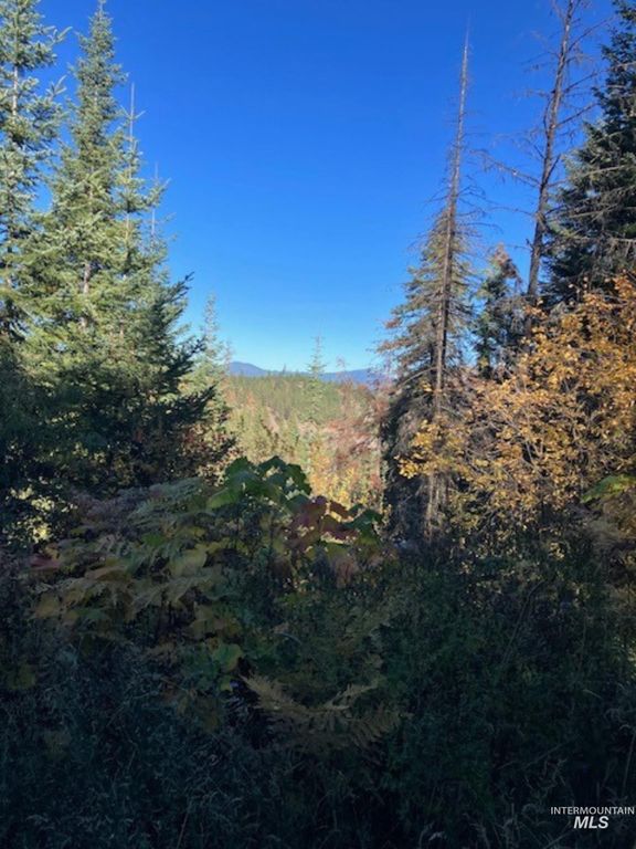 TBD Glacier Drive, St. Maries, ID 83861 photo 5