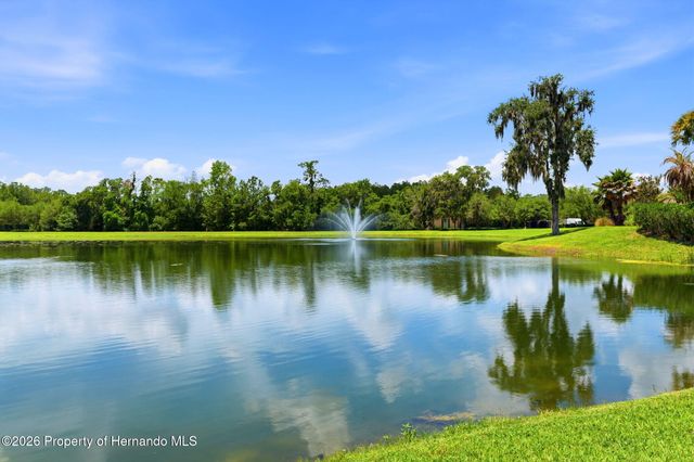 5251 Summit View Drive, Brooksville, FL 34601