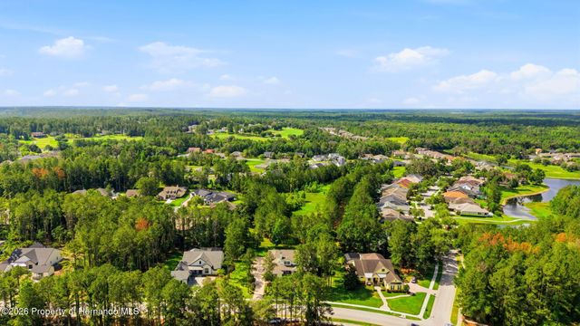 5251 Summit View Drive, Brooksville, FL 34601