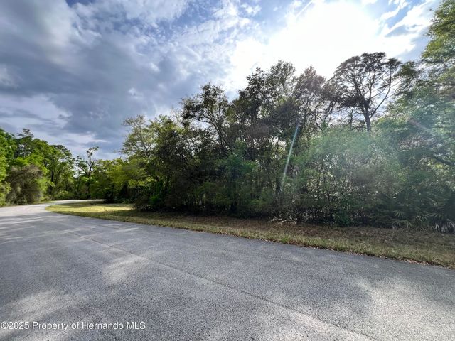 0 NW 74th Court, Chiefland, FL 32626