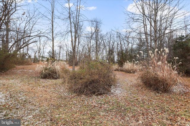 717 W LOCUST ST, Woodstock, VA 22664