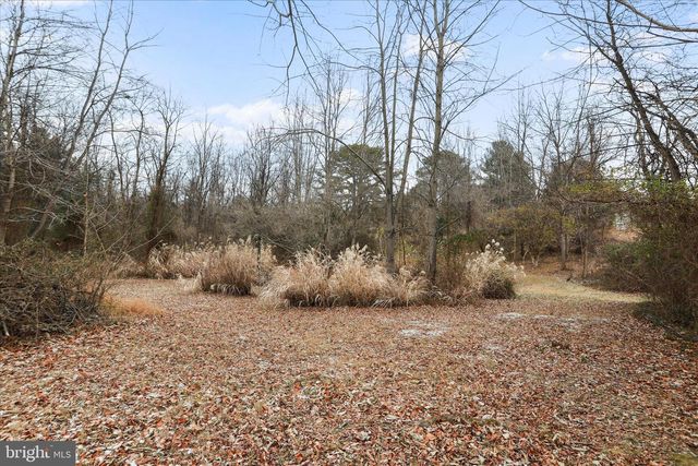 717 W LOCUST ST, Woodstock, VA 22664