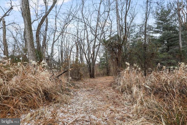 717 W LOCUST ST, Woodstock, VA 22664