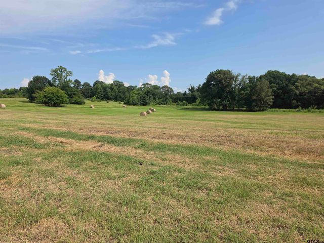 22479 Old Tyler Rd, Troup, TX 75789