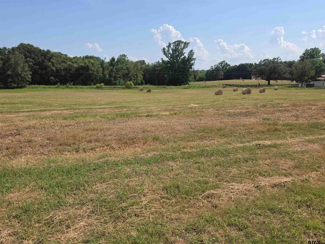 22479 Old Tyler Rd, Troup, TX 75789