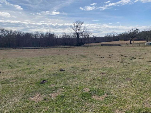 22479 Old Tyler Rd, Troup, TX 75789