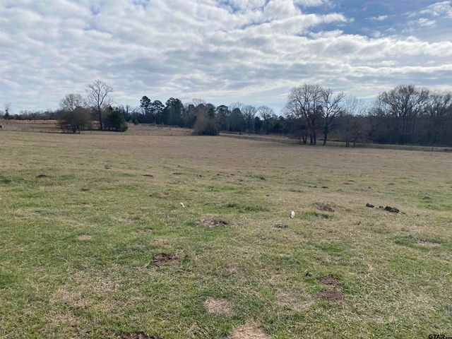 22479 Old Tyler Rd, Troup, TX 75789