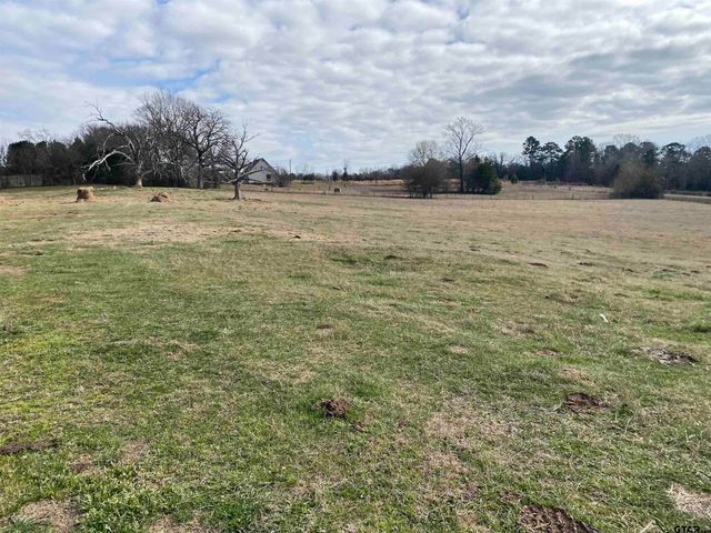22479 Old Tyler Rd, Troup, TX 75789