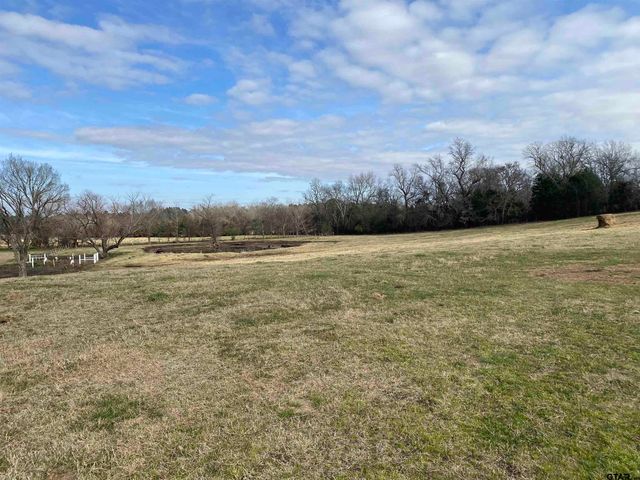 22479 Old Tyler Rd, Troup, TX 75789