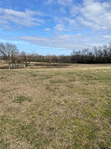 22479 Old Tyler Rd, Troup, TX 75789