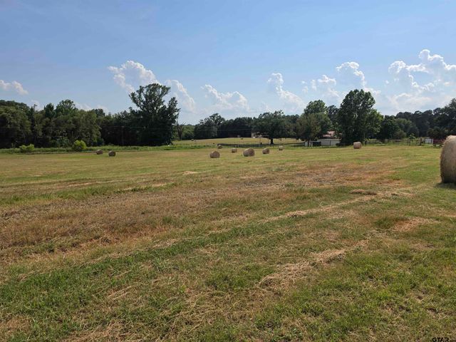 22479 Old Tyler Rd, Troup, TX 75789