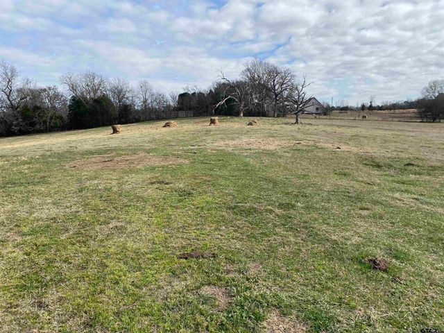 22479 Old Tyler Rd, Troup, TX 75789