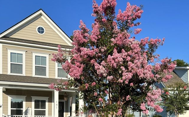 141 Calm Water Way, Summerville, SC 29486