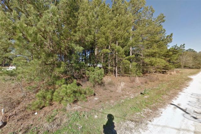 SE 63RD PLACE, Morriston, FL 32668