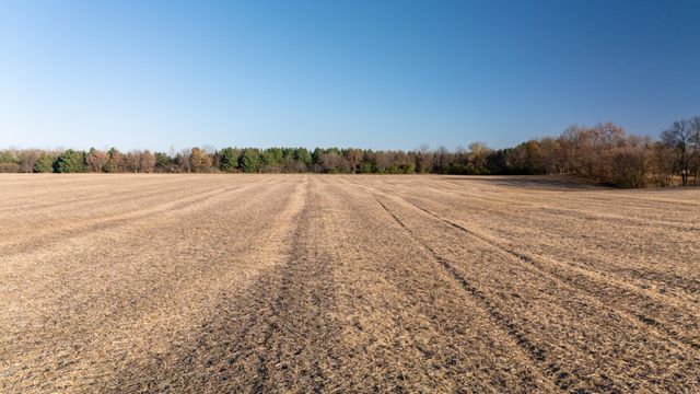 48XXX Anchor Avenue, Nessel Twp, MN 55080