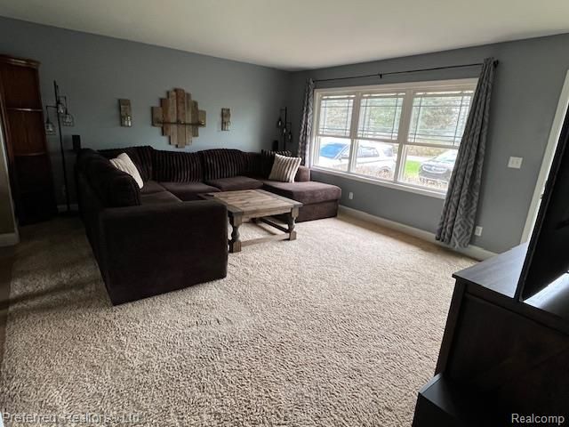 5242 Osburn Drive, Raisin Township, MI 49286