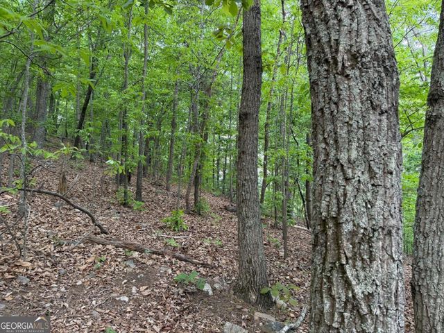 766 Fenwood Trail, Marietta, GA 30062