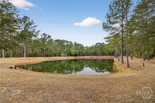 22103 GA HWY 144 E, Richmond Hill, GA 31324