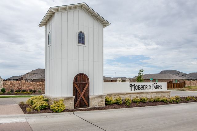 14004 Haggerston Drive, Pilot Point, TX 76258