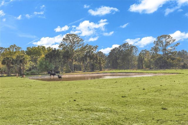 171 RIVER OAKS DRIVE, Osteen, FL 32764