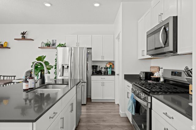 1017 S RED CLIFF DR, Santaquin, UT 84655