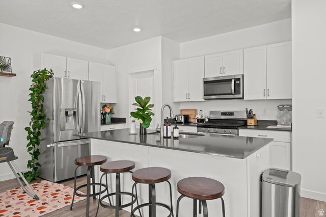 1017 S RED CLIFF DR, Santaquin, UT 84655