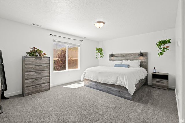 1017 S RED CLIFF DR, Santaquin, UT 84655