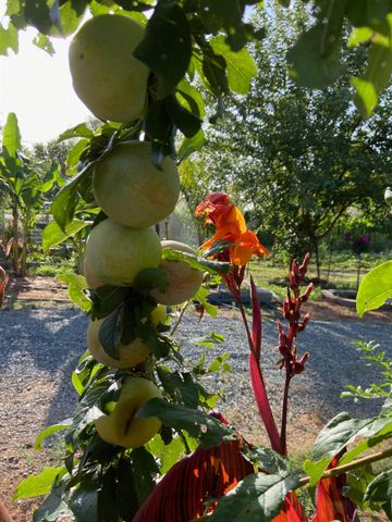 11786 Walmort Rd, Wilton, CA 95693